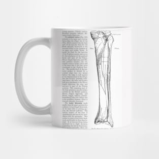 Antique Anatomy Papers Neck Gator Tibia Anatomy Mug